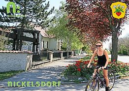 Bild zeigt Ansichtskarte mit Motiv Radwege in Nickelsdorf, Ansicht Ortseinfahrt Obere Hauptstraße mit Radfahrerin