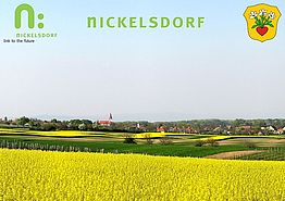 Bild zeigt Ansichtskarte mit Motiv Nickelsdorf umgeben von Rapsfeldern, aufgenommen vom Standort Neubruchäcker im Süden mit Blickrichtung Nordwest bis Nordost, im Vordergrund blühendes Rapsfeld, in der Senke im Hintergrund das Dorf