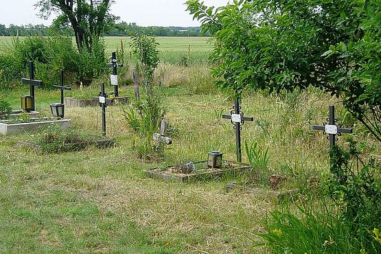 Foto zeigt Kindergräber auf dem Friedhof Kleylehof und Alt-Saida