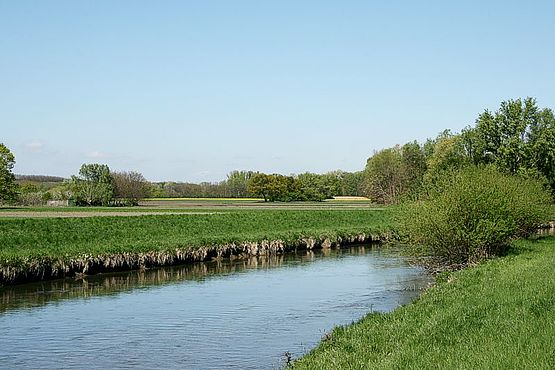 Foto zeigt Leitha, aufgenommen vom Nordufer, mit Blickrichtung Südwesten im Bereich Altes Dorf, im Vordergrund der Fluß, im Hintergrund Felder und Bereiche der Hartholzau