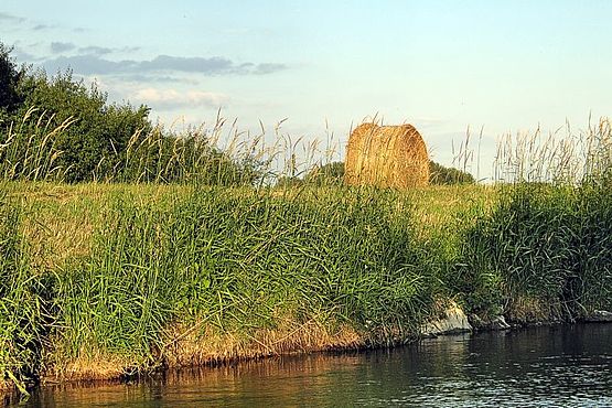 Foto zeigt Leitha, aufgenommen von Flußmitte mit Blickrichtung Nordosten, mit Schilf bewachsenes Ufer und Rundstrohballen dahinter