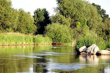 Foto zeigt Leitha, aufgenommen von Flußmitte mit Blickrichtung Nordosten, mit Weiden am Flußufer und großen Steinen in der Flußmitte