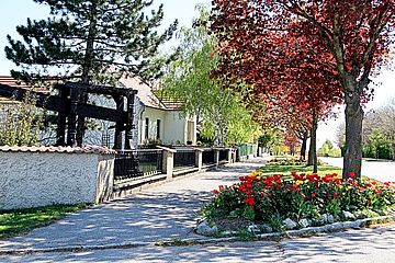Foto zeigt eine Ansicht der rechten Häuserzeile der Oberen Hauptstraße mit blühenden Tulpen im Vordergrund