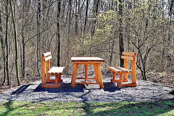 Foto zeigt massiven Holztisch mit zwei Bänken vor sonnendurchflutetem Wald im Frühling vor dem Austrieb, Standort Güterweg Deutsch Jahrndorf Ried Leithaluss