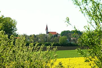 Foto zeigt Blick auf die katholische Kirche vom Nordufer der Leitha im Bereich Altes Dorf mit Blickrichtung Südwest, im Vordergrund Weiden, dazwischen Felder, im Hintergrund die Kirche
