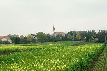 Foto zeigt Blick auf die katholische Kirche vom Bereich Wiesenäcker mit Blickrichtung Südwest, im Vordergrund Felder, im Hintergrund Häuser und die Kirche