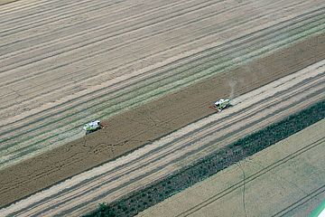 Luftbild zweier Mähdrescher bei der Erntearbeit