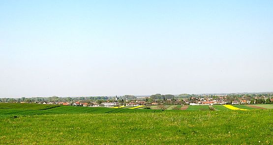 Foto zeigt Panorama von Nickelsdorf, vom Standort Neubruchäcker im Süden mit Blickrichtung Norden, im Vordergrund gründ Wiese, dahinter Getreide und blühende Rapsfelder, in der Senke im Hintergrund das Dorf mit der evangelischen Pfarrkirche im Zentrum
