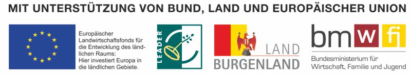 Bild zeigt Logos von Europäischer Union, Leadership, Land Burgenland und Familienministerium